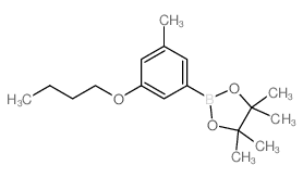3-Butoxy-5-methylphenylboronic acid, pinacol ester - Chemical structure and product image