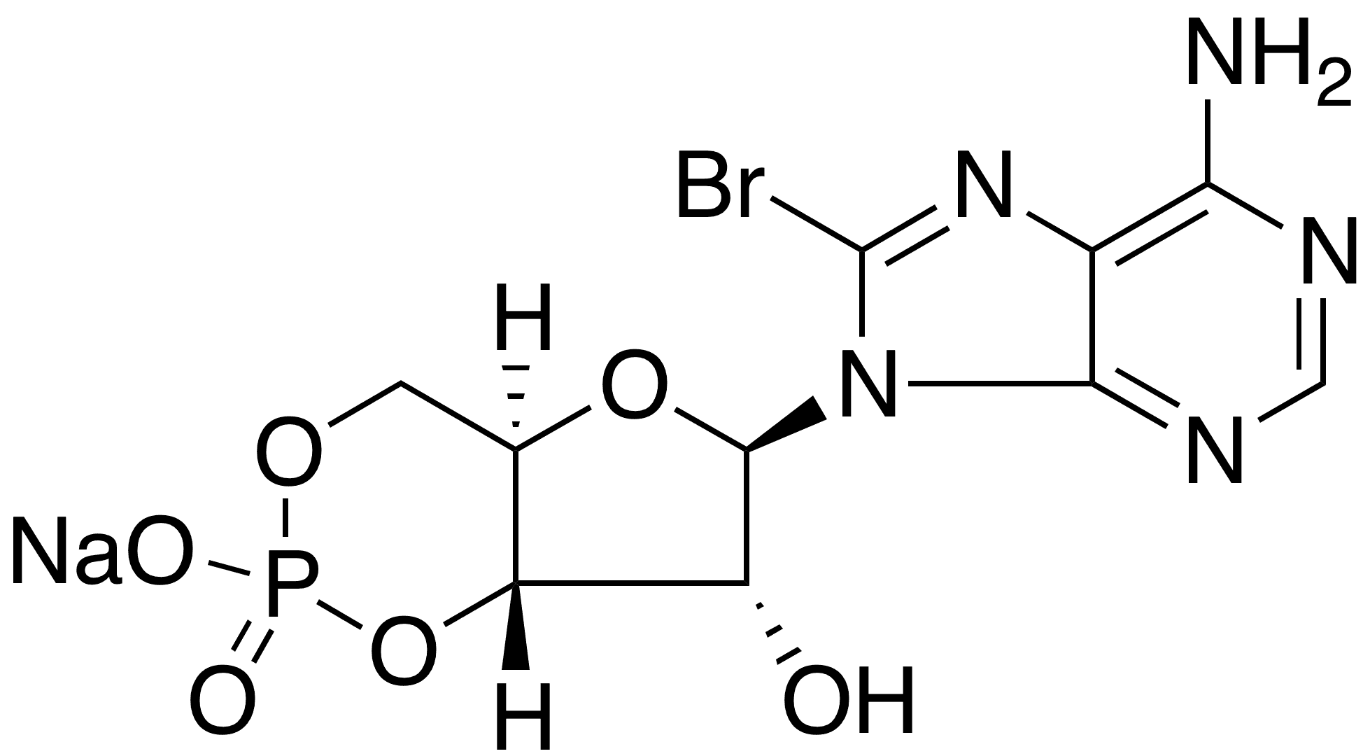 8-Bromo-cAMP Sodium Salt - Chemical structure and product image