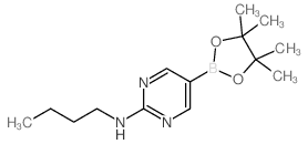 2-Butylaminopyrimidine-5-boronic acid, pinacol ester - Chemical structure and product image