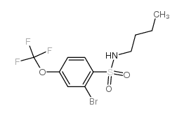 N-Butyl 2-bromo-4-trifluoromethoxybenzenesulfonamide - Chemical structure and product image