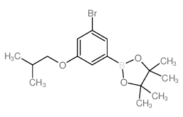 3-Bromo-5-isobutoxyphenylboronic acid, pinacol ester - Chemical structure and product image