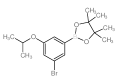 3-Bromo-5-isopropoxyphenylboronic acid, pinacol ester - Chemical structure and product image