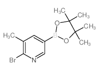 2-Bromo-3-methylpyridine-5-boronic acid, pinacol ester - Chemical structure and product image