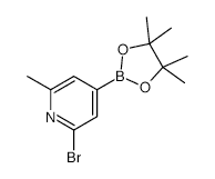 2-Bromo-6-methylpyridine-4-boronic acid, pinacol ester - Chemical structure and product image