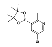 5-Bromo-2-methylpyridine-3-boronic acid, pinacol ester - Chemical structure and product image