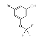 3-Bromo-5-(trifluoromethoxy)phenol - Chemical structure and product image