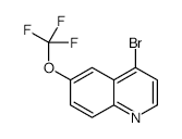 4-Bromo-6-(trifluoromethoxy)quinoline - Chemical structure and product image
