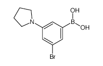 3-Bromo-5-pyrrolidinophenylboronic acid - Chemical structure and product image