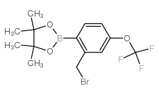 2-Bromomethyl-4-trifluoromethoxyphenylboronic acid, pinacol ester - Chemical structure and product image