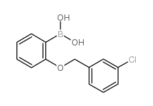 2-(3’-Chlorobenzyloxy)phenylboronic acid - Chemical structure and product image