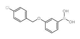 3-(4’-Chlorobenzyloxy)phenylboronic acid - Chemical structure and product image