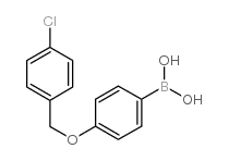 4-(4’-Chlorobenzyloxy)phenylboronic acid - Chemical structure and product image