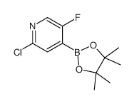 2-Chloro-5-fluoropyridine-4-boronic acid pinacol ester - Chemical structure and product image