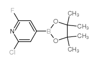 2-Chloro-6-fluoropyridine-4-boronic Acid Pinacol Ester - Chemical structure and product image