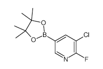 3-Chloro-2-fluoropyridine-5-boronic acid, pinacol ester - Chemical structure and product image