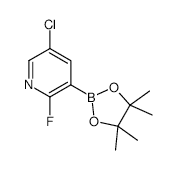 5-Chloro-2-fluoropyridine-3-boronic acid pinacol ester - Chemical structure and product image