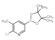 2-Chloro-3-methylpyridine-5-boronic Acid Pinacol Ester - Chemical structure and product image