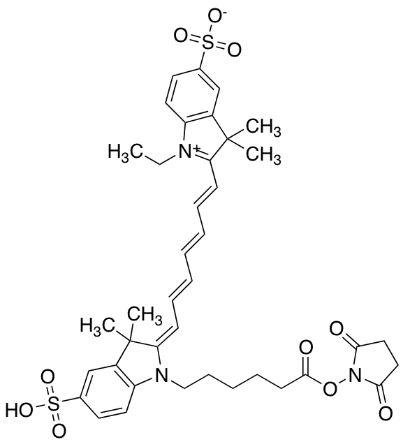 Cyanine 7, SE - Chemical structure and product image