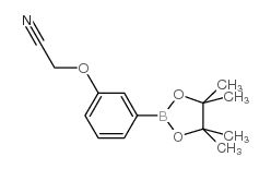 3-Cyanomethoxyphenylboronic acid, pinacol ester - Chemical structure and product image