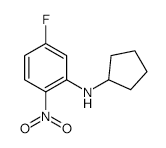 N-Cyclopentyl-5-fluoro-2-nitroaniline - Chemical structure and product image