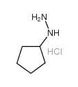 Cyclopentylhydrazine Hydrochloride - Chemical structure and product image