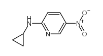 2-N-Cyclopropylamino-5-nitropyridine - Chemical structure and product image