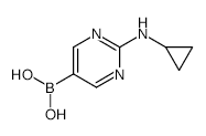 2-(Cyclopropylamino)pyrimidine-5-boronic Acid - Chemical structure and product image