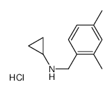 N-Cyclopropyl 2,4-dimethylbenzylamine Hydrochloride - Chemical structure and product image
