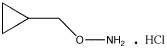 O-Cyclopropylmethyl-hydroxylamine, Hydrochloride - Chemical structure and product image