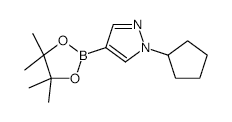 1-Cyclopentyl-1H-pyrazole-4-boronic acid, pinacol ester - Chemical structure and product image