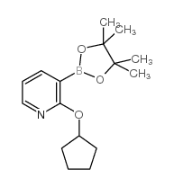2-(Cyclopentyloxy)pyridine-3-boronic acid, pinacol ester - Chemical structure and product image