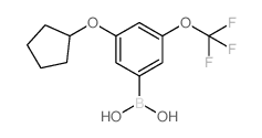 3-(Cyclopentyloxy)-5-(trifluoromethoxy)phenylboronic acid - Chemical structure and product image