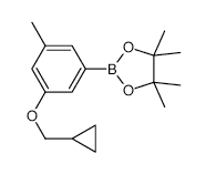 3-(Cyclopropylmethoxy)-5-methylphenylboronic acid, pinacol ester - Chemical structure and product image