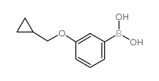 3-(Cyclopropylmethoxy)phenylboronic acid - Chemical structure and product image