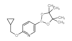 2-(Cyclopropylmethoxy)pyridine-5-boronic acid, pinacol ester - Chemical structure and product image