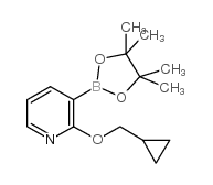 2-Cyclopropylmethoxy-3-(4,4,5,5-tetramethyl-[1,3,2]dioxaborolan-2-yl)-pyridine - Chemical structure and product image