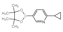 6-Cyclopropyl-3-pyridinyl boronic acid pinacol ester - Chemical structure and product image