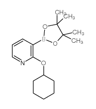 2-Cyclohexyloxypyridine-3-boronic acid, pinacol ester - Chemical structure and product image