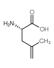 4,5-Dehydro-leucine - Chemical structure and product image