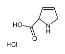 3,4-Dehydro-L-proline Hydrochloride - Chemical structure and product image