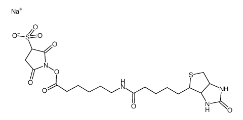 2-Deoxy-5-O-DMT-N6-methyl-8-oxoadenosine 3-CE phosphoramidite - Chemical structure and product image