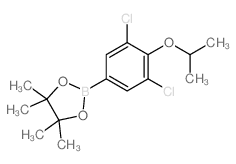 2,3,4,6-Tetra-O-benzyl-1-L-ido-deoxynojirimycin - Chemical structure and product image