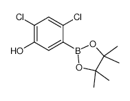 Hexachlorobicyclo[2.â€‹2.1]â€‹hept-â€‹5-â€‹ene-â€‹2,â€‹3-â€‹dicarboxylic Acid - Chemical structure and product image