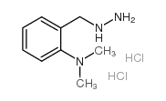 2-Naphthylamine-13C6 - Chemical structure and product image