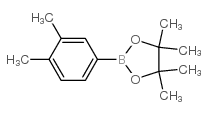 Isobutylsuccinic Acid-d9 - Chemical structure and product image