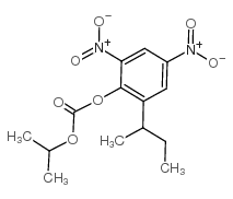 Isoquinoline-5-sulfonyl Chloride, Hydrochloride - Chemical structure and product image