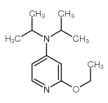 2-Ethoxy-4-(N,N-diisopropyl)aminopyridine - Chemical structure and product image