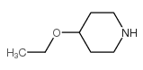 4-Ethoxypiperidine - Chemical structure and product image