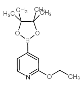 2-Ethoxypyridine-4-boronic acid, pinacol ester - Chemical structure and product image
