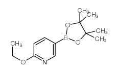 2-Ethoxypyridine-5-boronic Acid Pinacol Ester - Chemical structure and product image